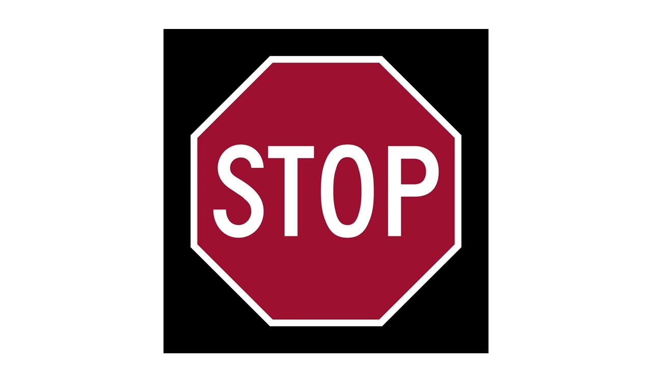 Hyperglycemia Induced Gut Barrier Dysfunction in a Feline Intestinal Organoid Model