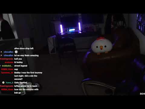 I was streaming and my cat did this | bobbybigballz