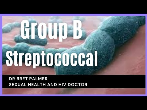 Group B Streptococcus infection in sexual health explained.