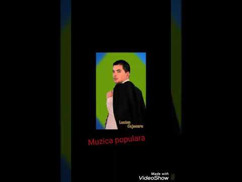 Lucian Cojocaru - Am fost mare vagabond 2012