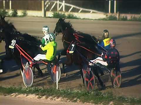 Trotto 11/11/2018 - 3ª corsa