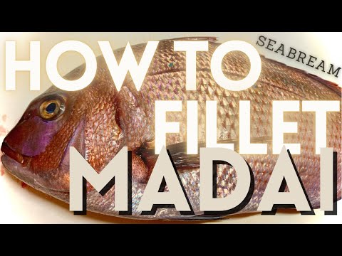【How to fillet Sea Bream】Simple guide on preparing MADAI by High-end Sushi Chef in Tokyo【雛祭り/鯛の仕込み】