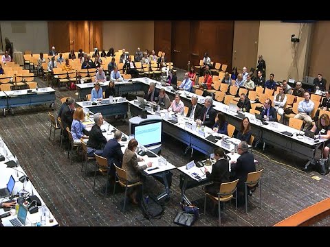 June 2019 ACIP Meeting - Public Comment & Votes