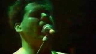 nofx - the moron brothers