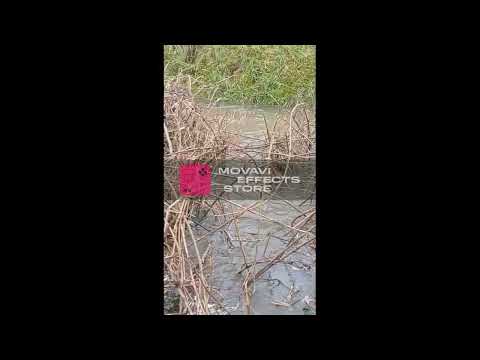 Henis- wateroverlast