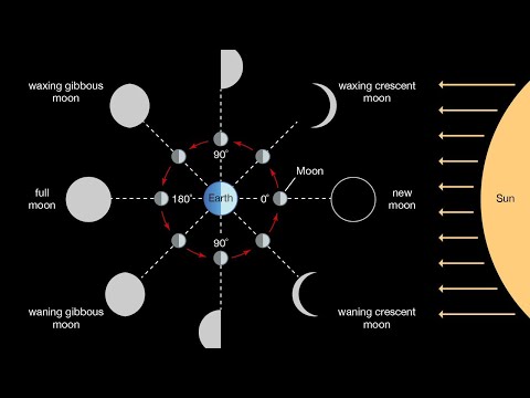 Phases of the moon - Tanishq