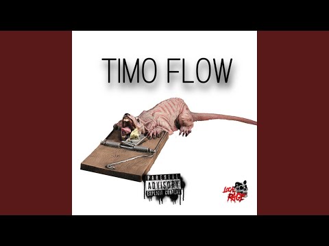 Timo Flow