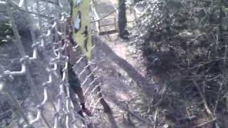 David does the tarzan swing