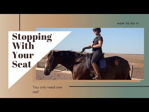 Stopping A Horse With Your Seat