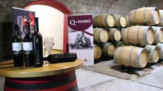 preview picture of video 'Ecomaratona del Collio-Brda 2015'