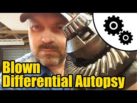 Blown Differential Autopsy #1018