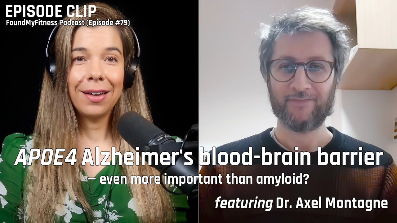 APOE4 Alzheimer's blood-brain barrier leaks — could they be even more important than amyloid? | Axel Montagne Ph.D.