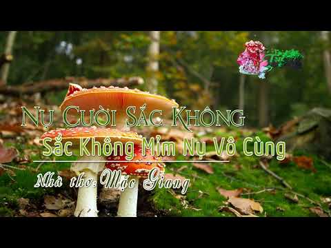 2. Sắc Không Mỉm Nụ Vô Cùng