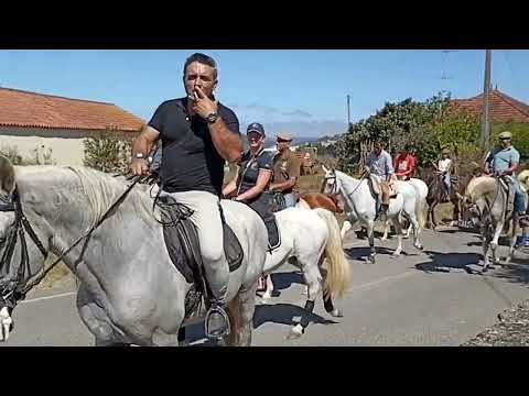 Preparação de desfile de 🐎 para festas de São Bernardo em Alcobaça