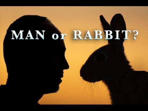 , title : 'Man or Rabbit? by CS Lewis'