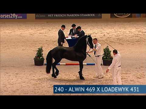 Derde bezichtiging 2017 – Deel 4