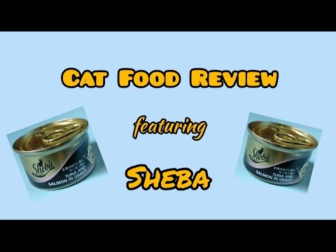 Cat Food Review: Sheba Wet Food (Tuna and Salmon in Gravy)