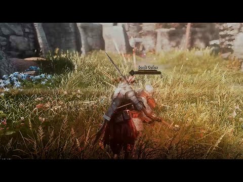 Skyrim in 2022 | Combat Showcase | Bjorn ENB