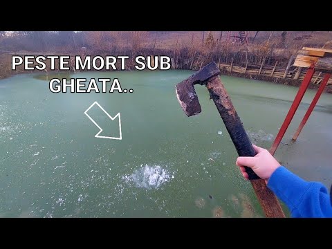BALTA DIN GRADINA - AM INTRAT IN LAC SI AM SPART GHEATA - AM GASIT UN PESTE..