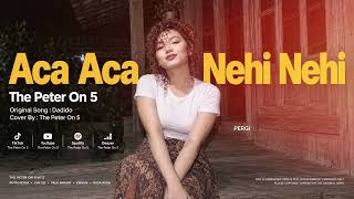 Download lagu Dadido - Aca Aca Nehi Nehi - Cover By - Peter On Five's mp3
