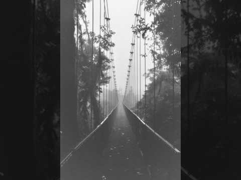 TALLO - BALANCE INTERNO (PROD. SR.LEAN)