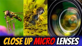 DON'T buy Macro Lenses, do THIS instead | Best Close-Up Lens Here
