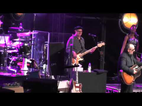 Elvis Costello A Good Year for the Roses (Rivierenhof Deurne 02/07/2018)