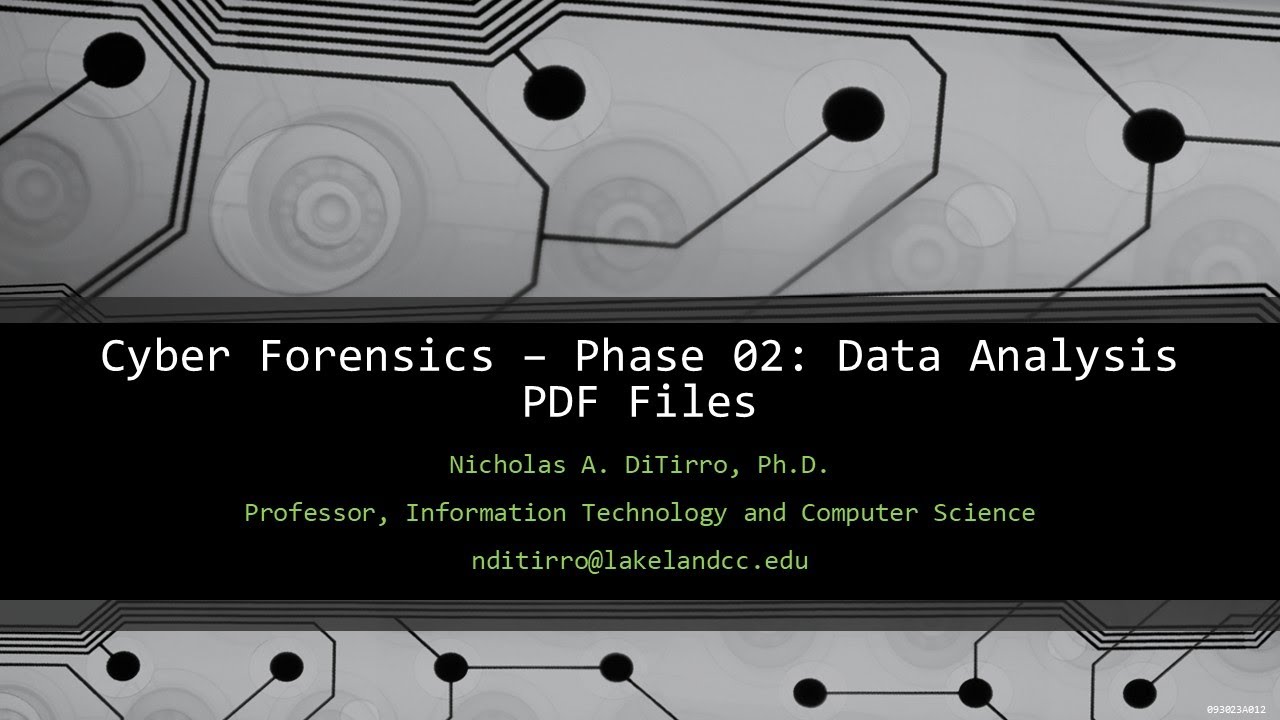 Cyber/Forensics - Criminal Justice Collaboration - Data Analysis - PDF Files   093023G01