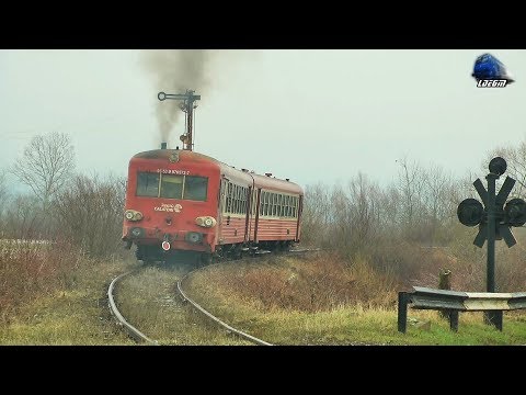 Urmărire Feroviară/Rail Chasing R16261 Berzovia-Oravița @ Comorâște-Grădinari Caraș 14 February 2019