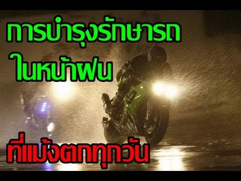 สมาชิกที่ยื่นออกมาเล็ก ๆ รักษาจิตอายุรเวทของความอ่อนแอ