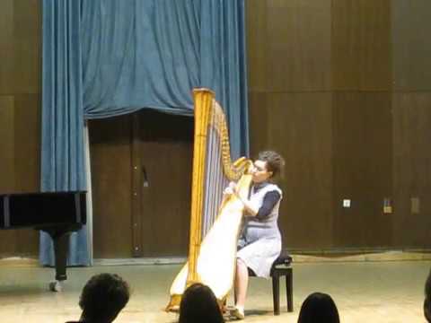 Promotional video thumbnail 3 for Professional Harpist, Ana Marija Weinhardt