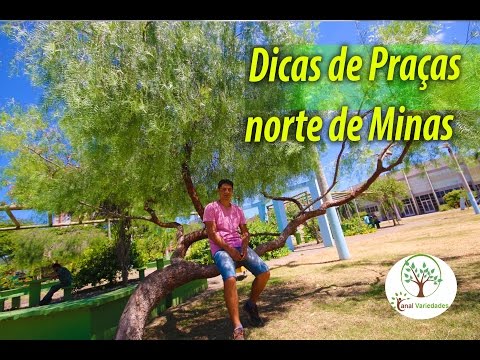 , title : 'Praças floridas, exemplos no Norte de Minas Gerais'