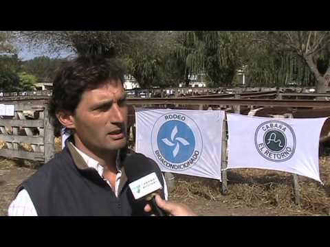 Remate Cuna de Hereford - MV Walter Antonelli de Cabaña El Retorno