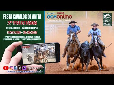 2ª PALETEADA  |  OFICIAL ABCCC  |  FESTA CAVALOS DE ANITA 2026  |  SÃO LUDGERO - SC