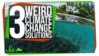 3 (Actually Safe) Ways to Fight Climate Change