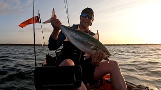 Can't Catch These Huge Albies Without Waking Up Early