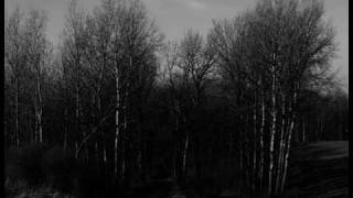 Nordvargr - Hascimh Reborn