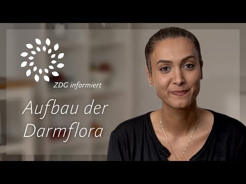, title : 'Darmflora aufbauen und sanieren | Anleitung und Erklärung'