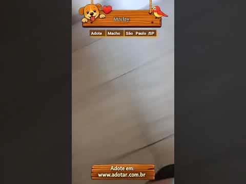 Vídeo de Marley 