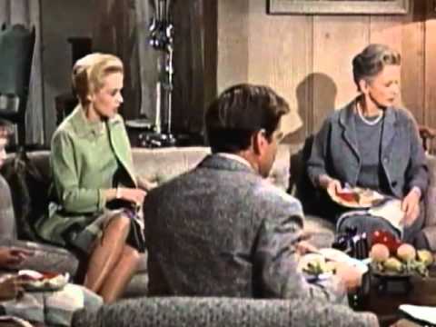 Lecture4 9 PerilsFilmingBirds