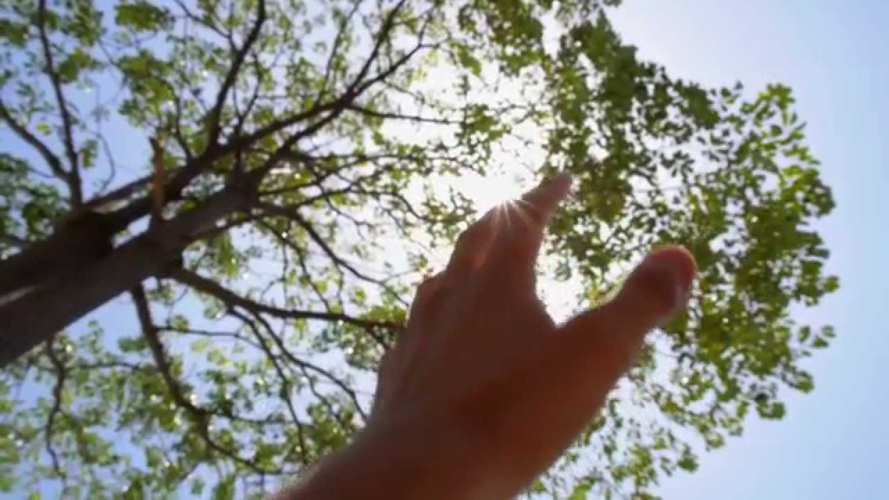 College of International Studies, Kyung Hee University - Official video