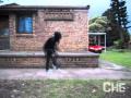 Magic City Promo Hakken Che