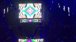 Bassnectar NYE 2016 Lost in the Crowd