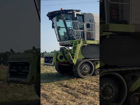 Claas Lexion 770 #combine #farming #farm #agriculture #farmer #agro #farmlife #wheat #lexion #claas