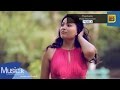 thanikada-dilshan-abeywardane-18-11-2016