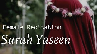 Download lagu Beautiful Quran Recitation Surah Yaseen Female Reciting Qur'an Heart soothing voice [WOMEN ONLY] mp3