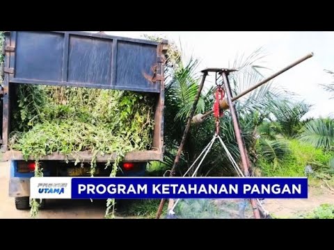 DUKUNG PROGRAM KETAHANAN PANGAN, POLSEK TABIR SELATAN TANAM SEMANGKA