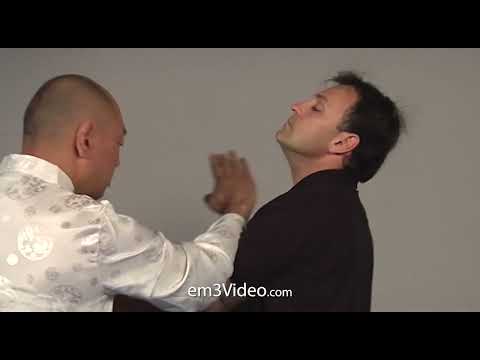 BIU GEE - by Sifu Robert Chu (Wing Chun Kuen) 3 vol-Set