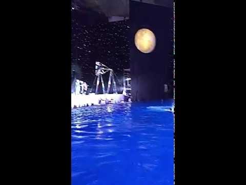 With swing 1011c by Vartan