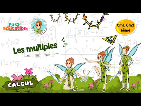 Miniature de la vidéo La Fée des maths